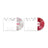 (Target exclusive) BTS - ARIRANG [5th Album - Deluxe Vinyl ver.]
